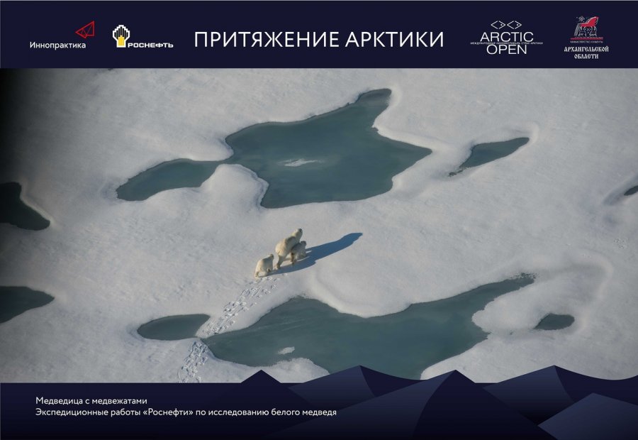 В Архангельске откроется фотовыставка «Притяжение Арктики»
